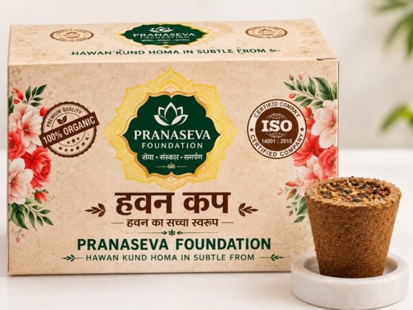 🪔 Gaumay Hawan Cups 🌿🙏